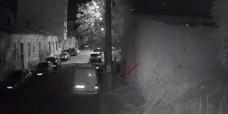 Sursa foto: Primăria Constanța