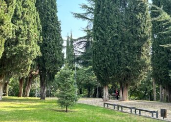 Când pădurea e parc-bijuterie, nu coș de gunoi sau pârloagă. Parcul Ayazmoto, Stara Zagora (FOTO) 