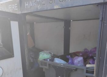 O mare de gunoaie. Focar de infecție pe străzile orașului