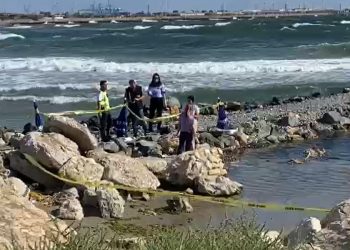 UPDATE: Descoperire ȘOCANTĂ pe o plajă din Eforie (VIDEO)