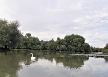 Dezbatere privind sprijinul ce trebuie acordat, în contextul geopolitic actual, turismului şi pescuitului în Deltă