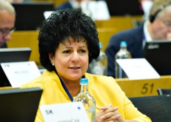 Mariana Gâju, intervenție la Bruxelles