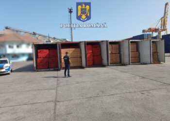 Infracțiuni vamale în domeniul exportului de cherestea