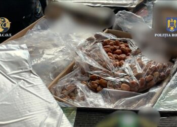 Captură record: 186 de kilograme de heroină, introduse prin Portul Constanța