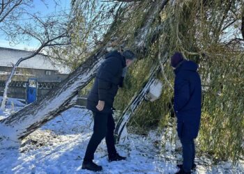 Orașul Năvodari, afectat de furtună. Cum intervin echipele primăriei