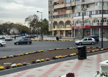 Se amplasează coșuri de gunoi pe străzi, DOAR la solicitarea constănțenilor