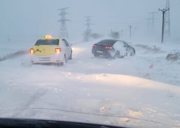 Imagini de coșmar la Constanța! Copaci puși la pământ, drumuri închise (FOTO)