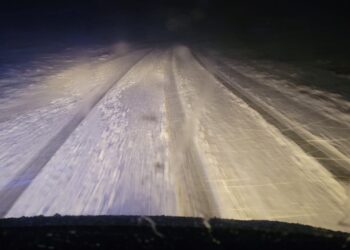 Imagini de coșmar la Constanța! Copaci puși la pământ, drumuri închise (FOTO)