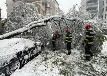 Prăpăd și la TULCEA! Mașini blocate, drumuri închise