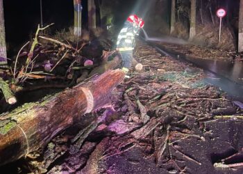 Misiunile pompierilor tulceni din timpul codurilor roșii și portocalii (FOTO)