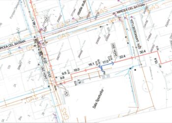 Primăria: „Intervenția asupra copacilor de pe strada Decebal, necesară pentru efectuarea lucrărilor de reabilitare termică”