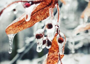 Vine iarna! Un ciclon polar va lovi România