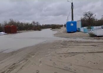 Furtuna a făcut ravagii și în Delta Dunării