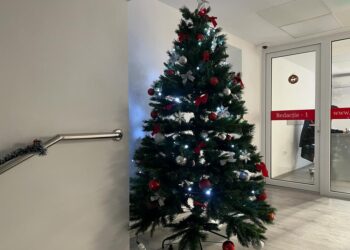 Recomandări pentru împodobirea pomului de iarnă