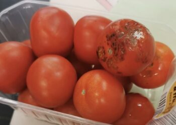 ANPC, mii de controale și amenzi de peste 50 de milioane de lei, în 2023 