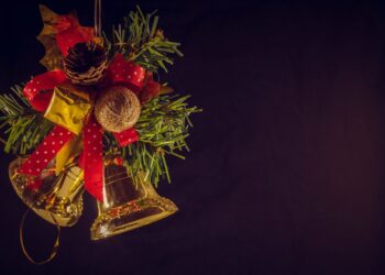 Plugușorul constănțeanului