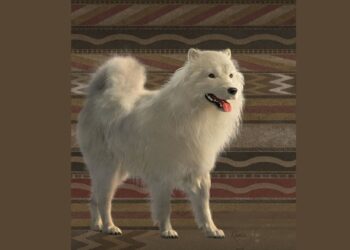 Un studiu dezvăluie povestea câinilor lânoşi, o specie în prezent dispărută