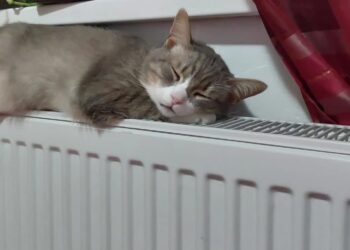 Căldură în casă sau economie? Care este temperatura optimă la care setăm centrala?