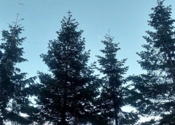 Prognoza meteo pentru sfârșitul lunii decembrie