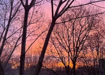 Vremea în ultima zi din an, pe litoral