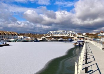 Paradă militară la Jurilovca, de Mica Unire 