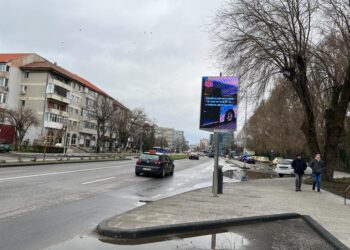 Reclama stradală gratuită, sufletul campaniei lui Chițac (FOTO) 