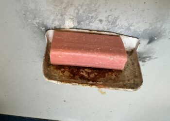 Imagini incredibile au fost surprinse în trenul InterRegio Constanța-București! (FOTO)