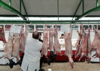 Plafonarea adaosului comercial pentru alimentele de bază, prelungită şi după 31 ianuarie. Mielul, propus pentru a fi pe listă