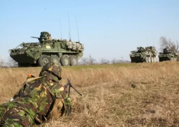 Noi exerciții militare cu muniție de război, la Babadag