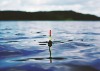 Au fost stabilite perioadele și zonele de prohibiție a pescuitului pentru anul 2024