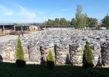 Romsilva și Poșta Română au încheiat un protocol pentru compensarea sumelor aferente lemnului de foc