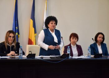 Întâlnire județeană organizată în cadrul proiectului „Forța de muncă din serviciile sociale care sprijină extinderea pachetului minim de servicii pentru copii”