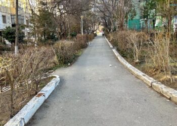 Începând de mâine, NOI reguli de circulație pe Aleea Hortensiei