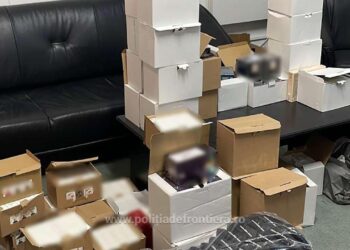 Gresie și faianță, haine și parfumuri din China, confiscate în Portul Constanța