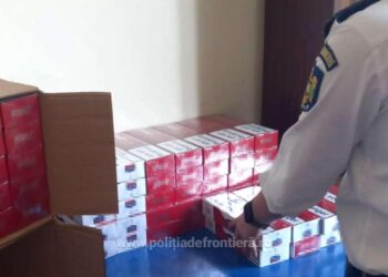 2.000 de pachete de țigări, confiscate în Portul Constanța
