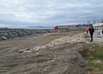 Ministrul Mediului nu are emoții în cazul demersului Greenpeace. Acordul pentru Neptun Deep – emis legal 