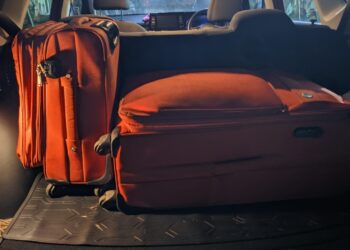 Caz ȘOCANT! Un român a fost prins în Franța cu doi adolescenți vietnamezi ascunși în genți de voiaj