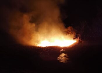 Noapte de foc pentru pompierii tulceni. 5 Incendii de vegetație în Deltă (VIDEO)