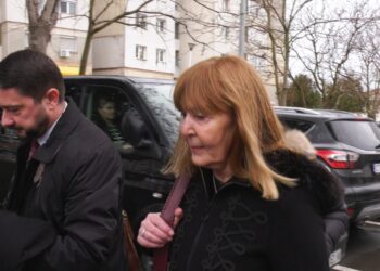 Monica Macovei a ajuns astăzi în fața magistraților