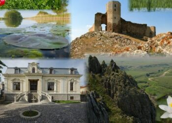 Tulcenii, îndemnați să participle la votarea proiectelor de interes județean