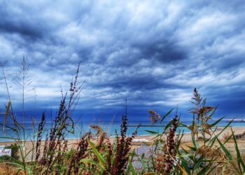 Vremea, astăzi, pe litoral