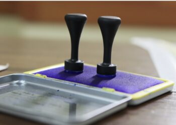 Judecătorii din Biroul Electoral Central pentru locale și europarlamentare, desemnați astăzi 