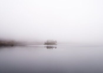 Cod galben de ceață în județul Tulcea