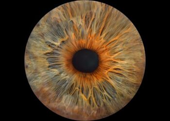 Iris Photography Romania – O nouă dimensiune a dragostei și unicității: Conceptul ce îmbină perfect arta fotografiei cu știința