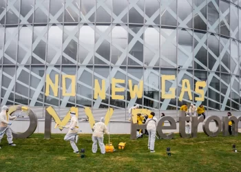 Greenpeace România a chemat în judecată Administraţia Bazinală de Apă Dobrogea Litoral 