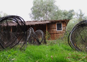 A început prohibiția generală la pescuit