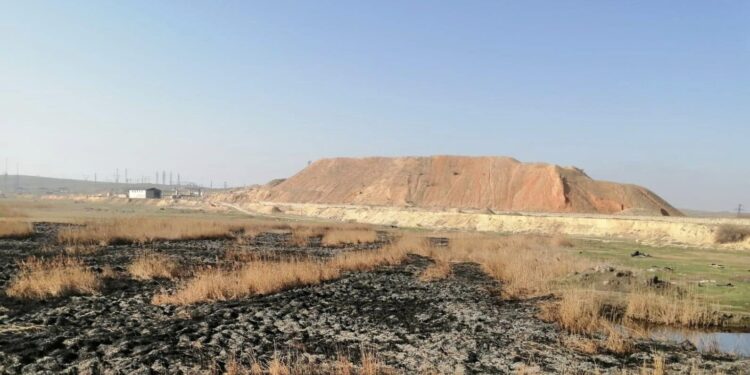 Sursa foto: Faccebook - Garda de Mediu Constanța