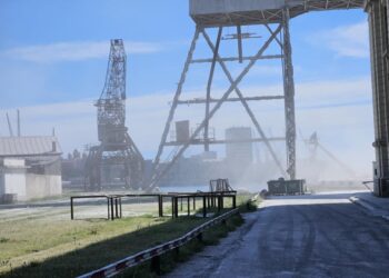 Operatori de cereale din Portul Constanța, amendați de Garda de Mediu (FOTO)