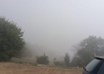 Cod galben de ceață în Dobrogea