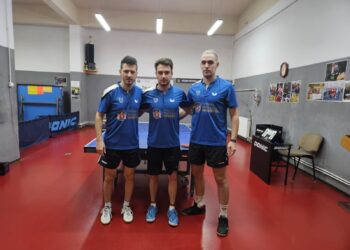 Au promovat în SuperLigă